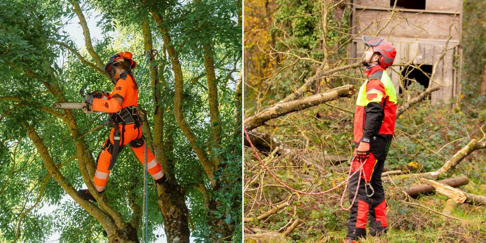 sécurité et protection de l'élagueur